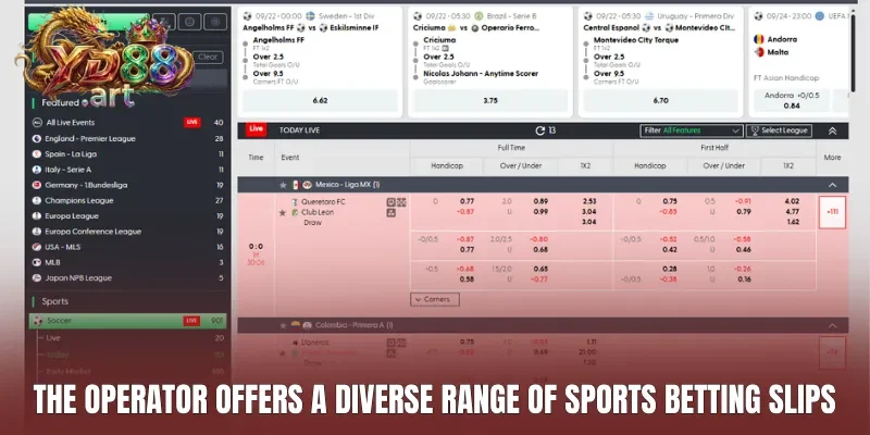 The operator offers a diverse range of sports betting slips